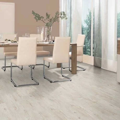 ДУБ КОРТИНА БЕЛЫЙ ЛАМИНАТ  EGGER  CLASSIC ламинат для пола